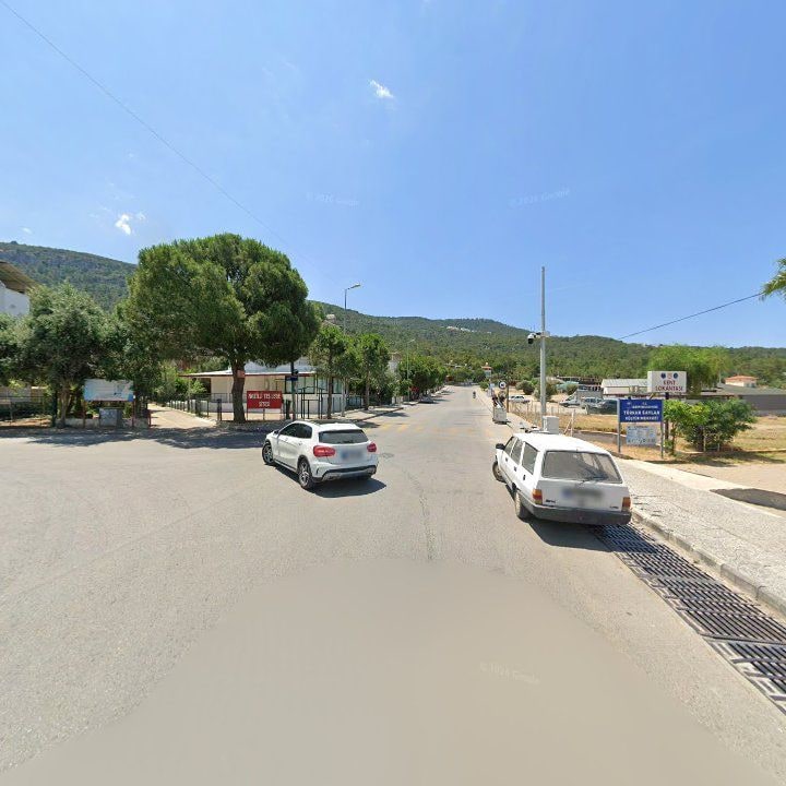 Fotoğraf 11
