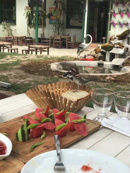 Fotoğraf 5