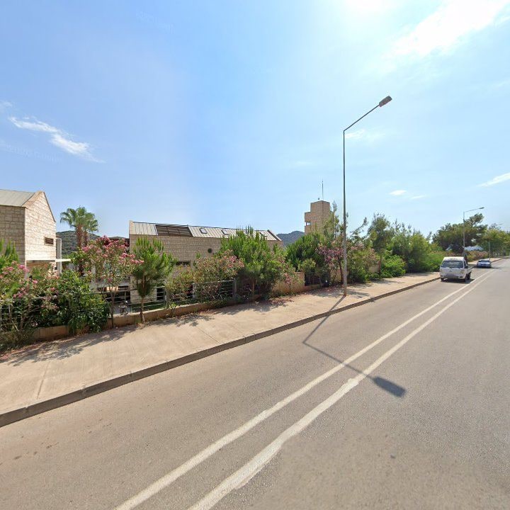 Fotoğraf 12