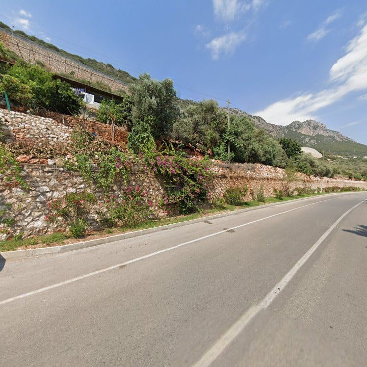 Fotoğraf 10