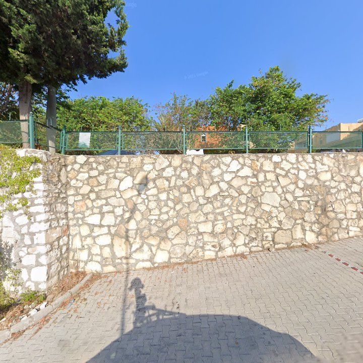 Fotoğraf 10