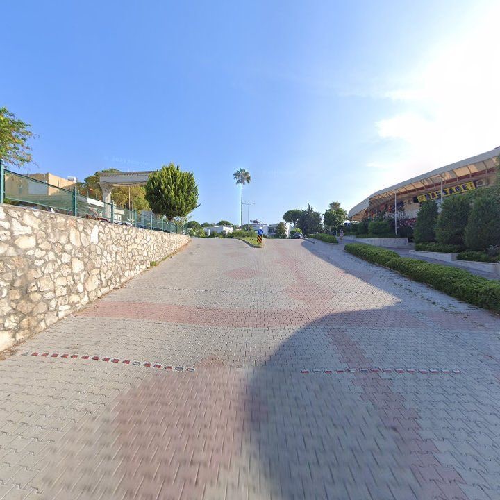 Fotoğraf 11