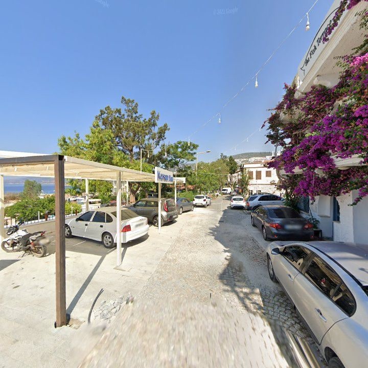 Fotoğraf 15