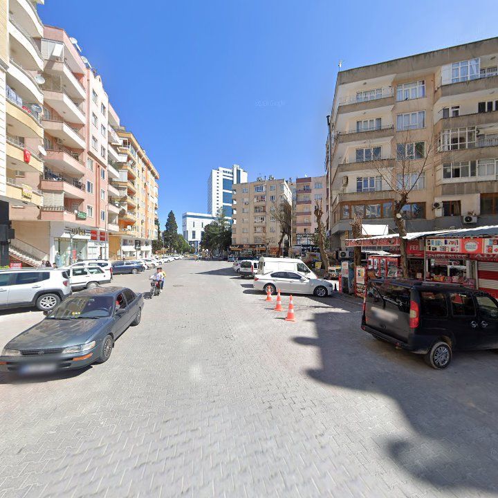 Fotoğraf 10