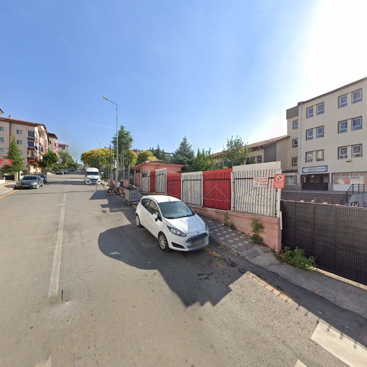 Fotoğraf 10