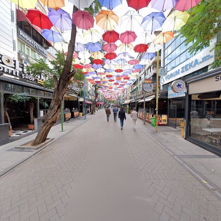 Fotoğraf 9