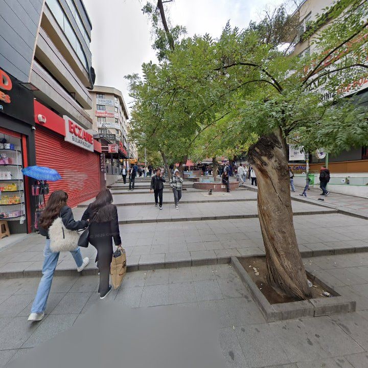 Fotoğraf 12