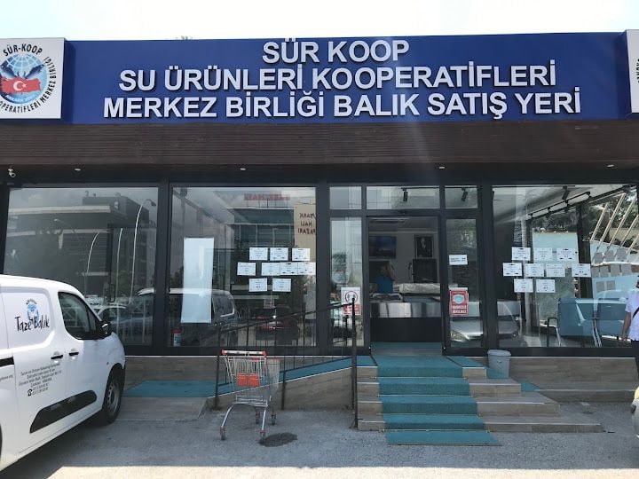 SÜRKOOP - Su Ürünleri Satış ve Pişirme Yeri