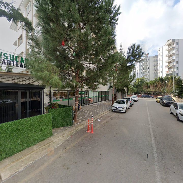 Fotoğraf 12
