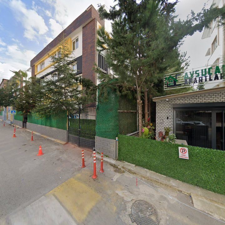 Fotoğraf 11