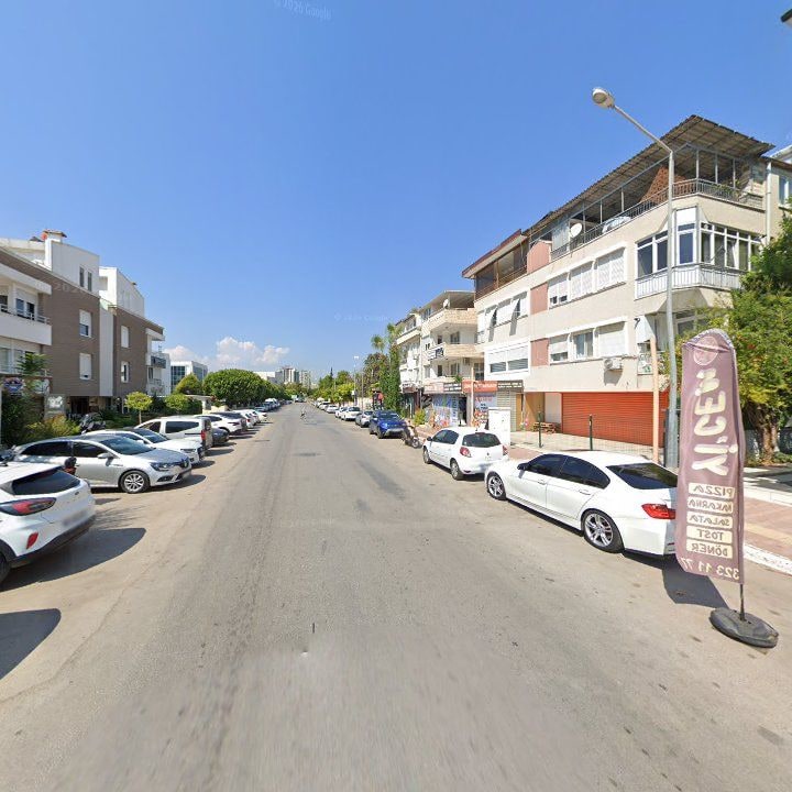 Fotoğraf 11