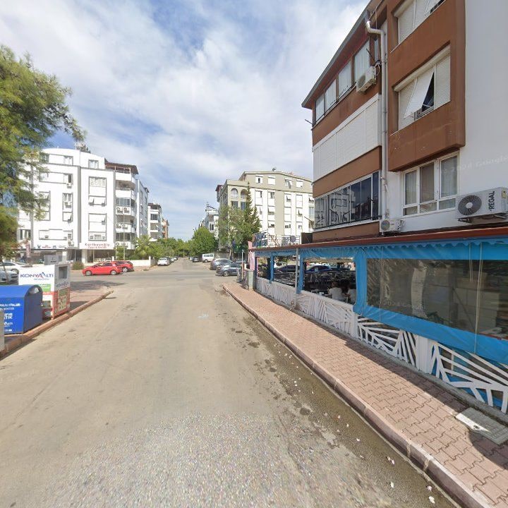 Fotoğraf 11