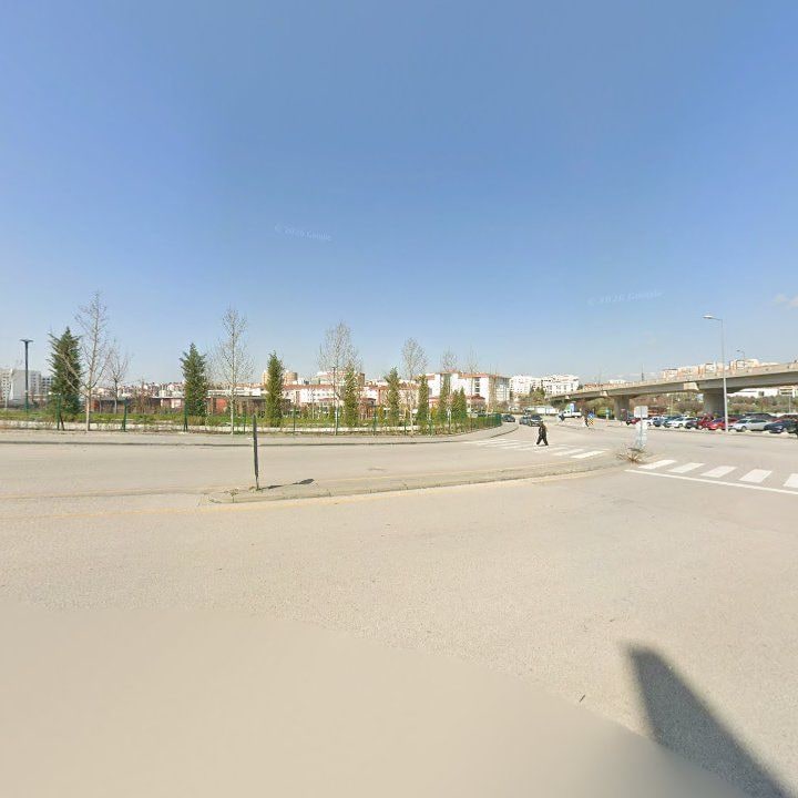 Fotoğraf 11