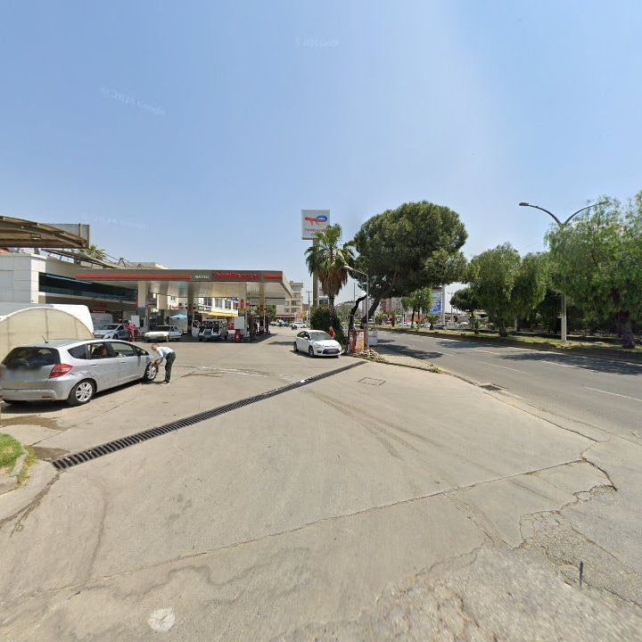 Fotoğraf 7