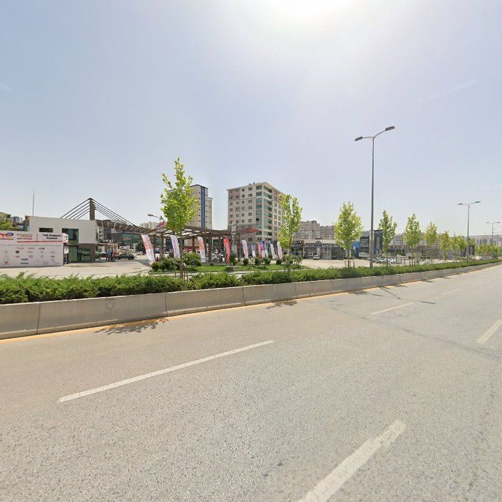Fotoğraf 12