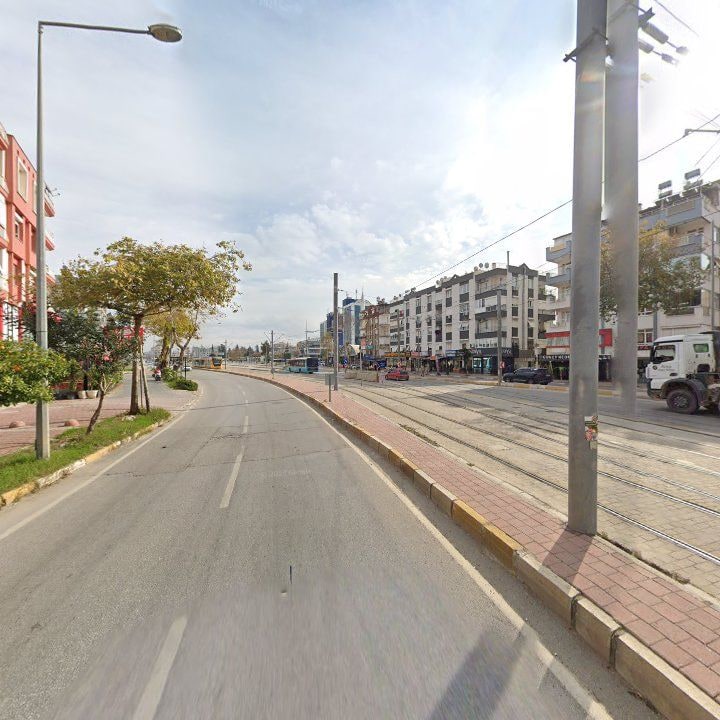 Fotoğraf 11