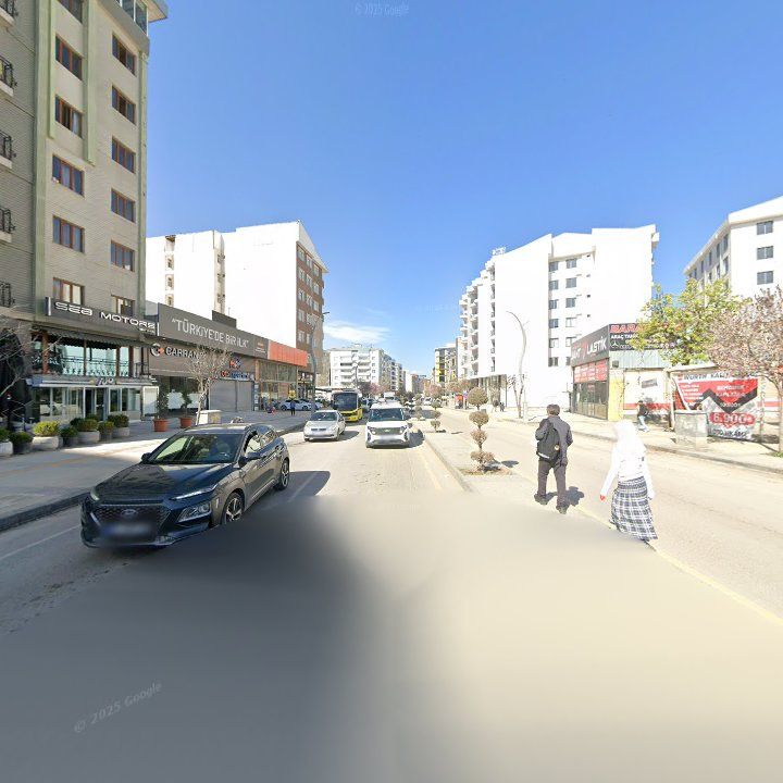 Fotoğraf 11