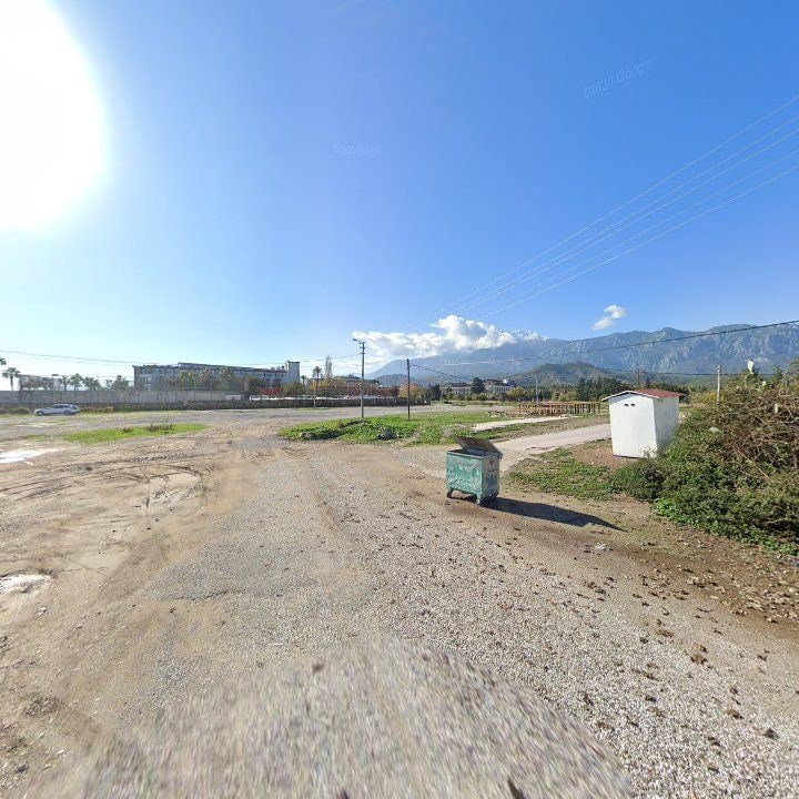 Fotoğraf 8