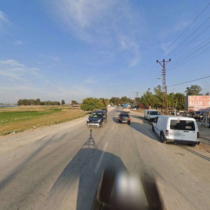 Fotoğraf 7