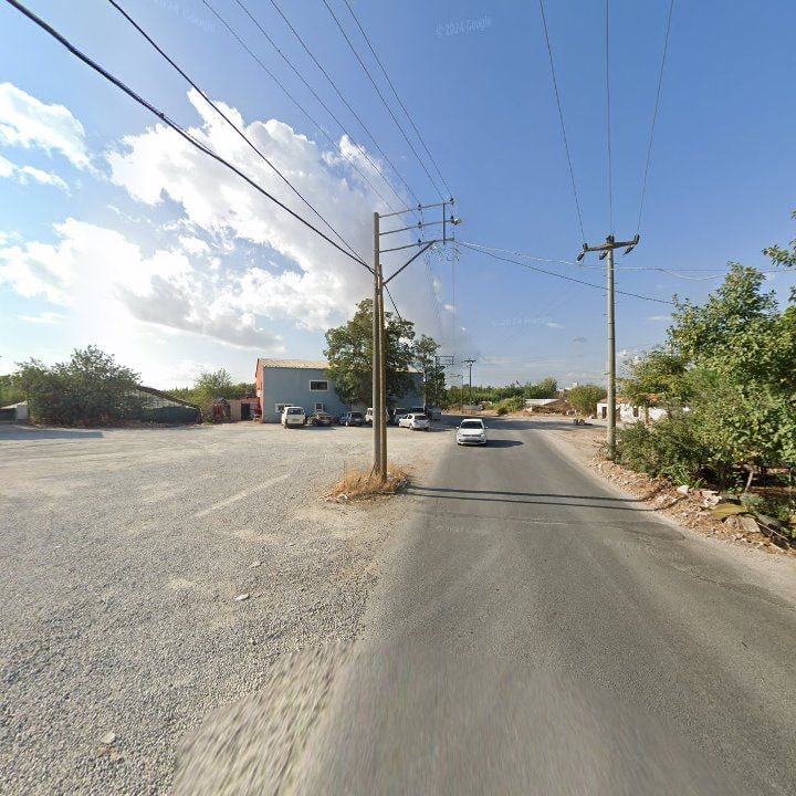 Fotoğraf 9