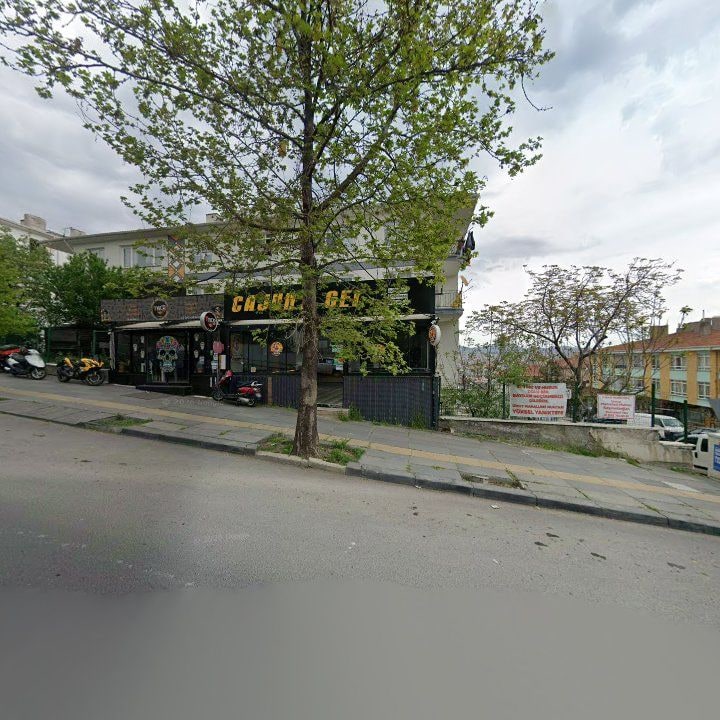 Fotoğraf 10