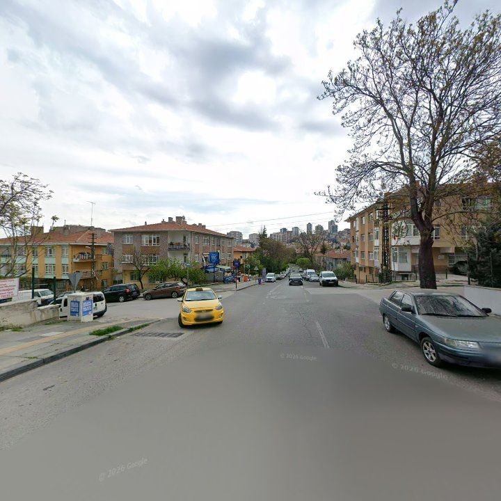 Fotoğraf 11
