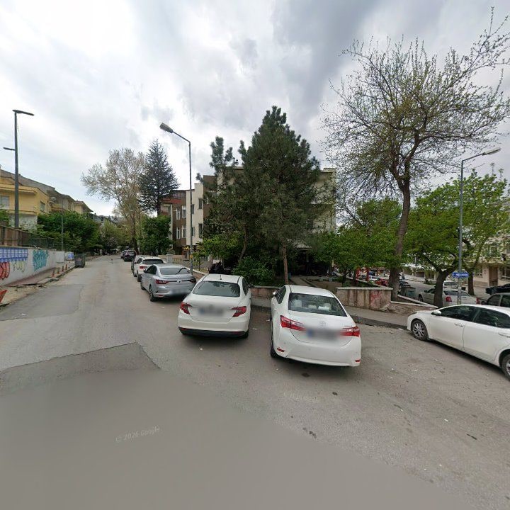 Fotoğraf 9