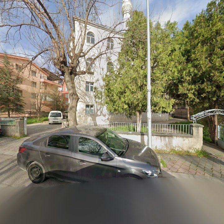 Fotoğraf 2
