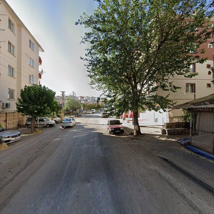Fotoğraf 9