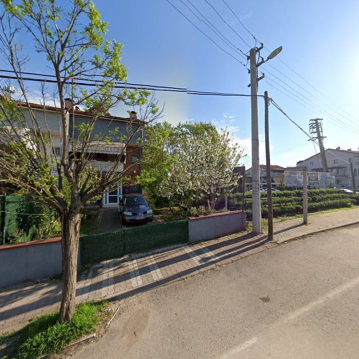 Fotoğraf 13