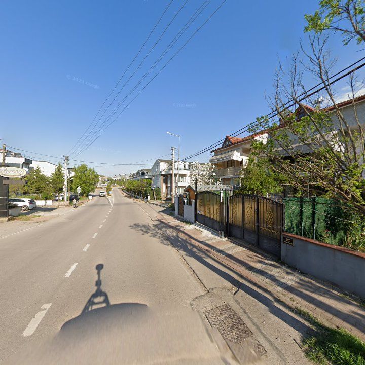 Fotoğraf 12