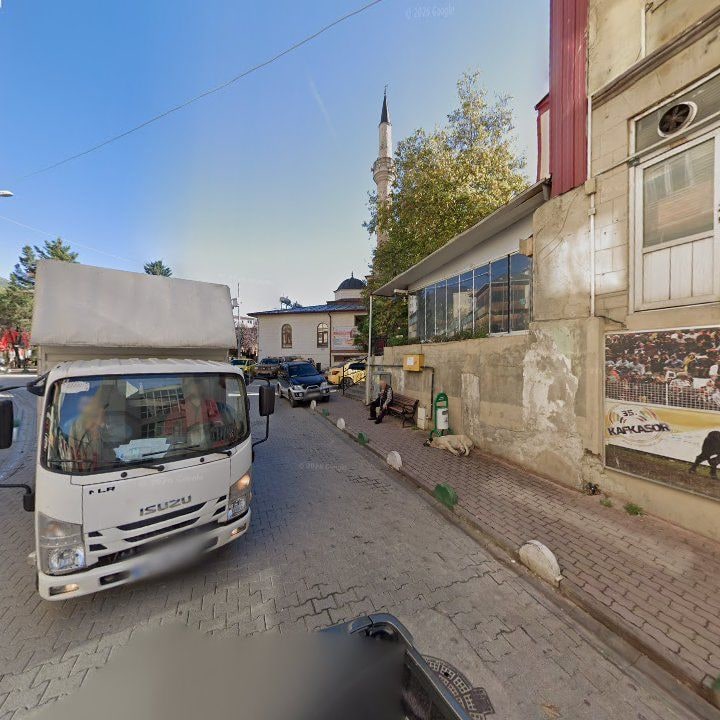 Fotoğraf 10