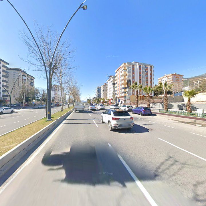 Fotoğraf 10