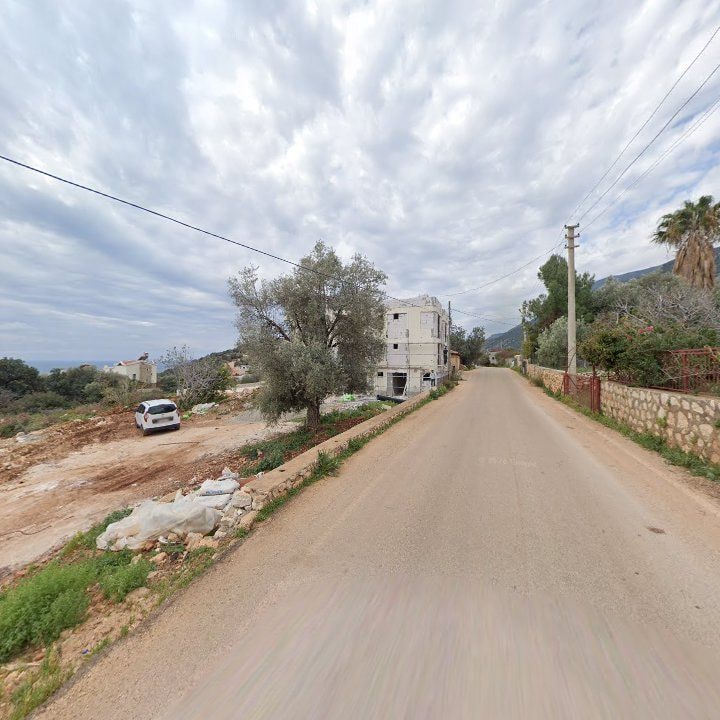 Fotoğraf 10