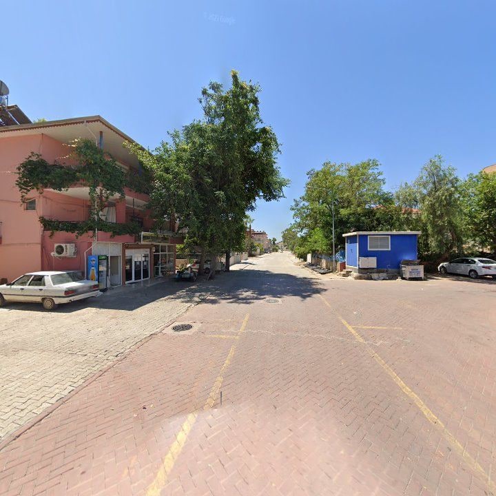 Fotoğraf 6