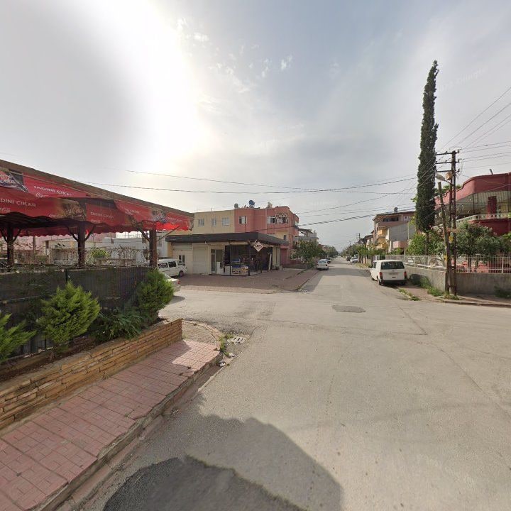 Fotoğraf 3