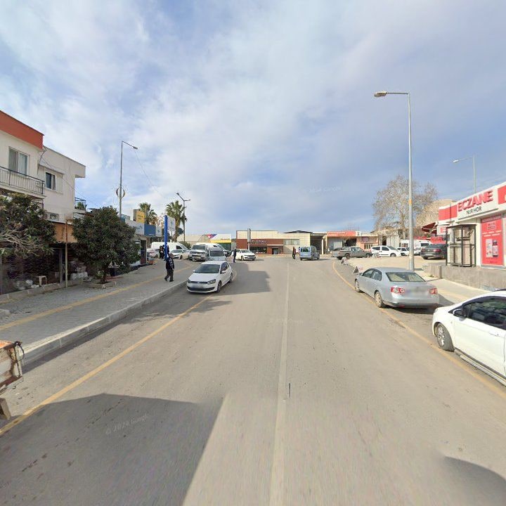 Fotoğraf 8