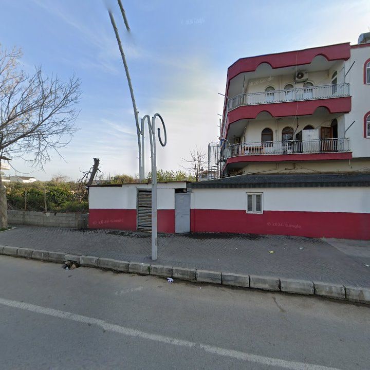 Fotoğraf 8