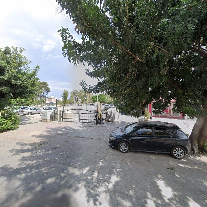 Fotoğraf 3