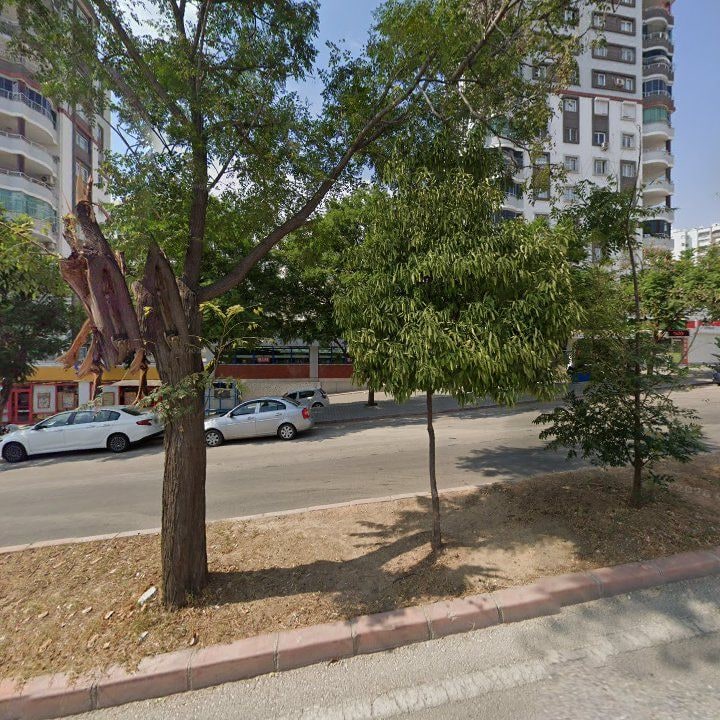 Fotoğraf 7