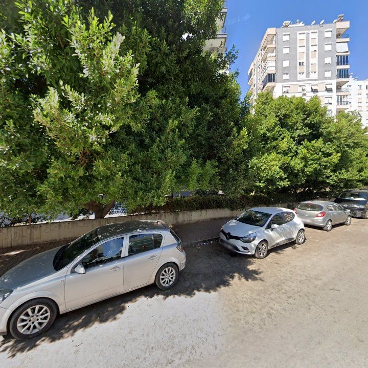 Fotoğraf 7