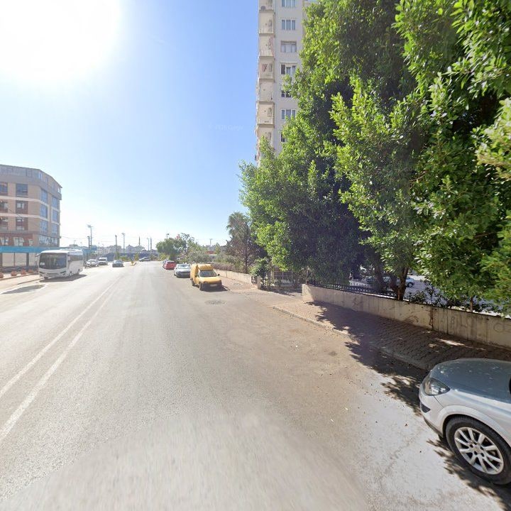 Fotoğraf 6