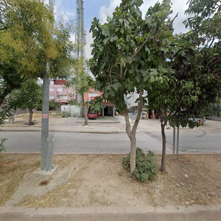 Fotoğraf 7