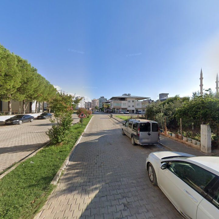 Fotoğraf 9