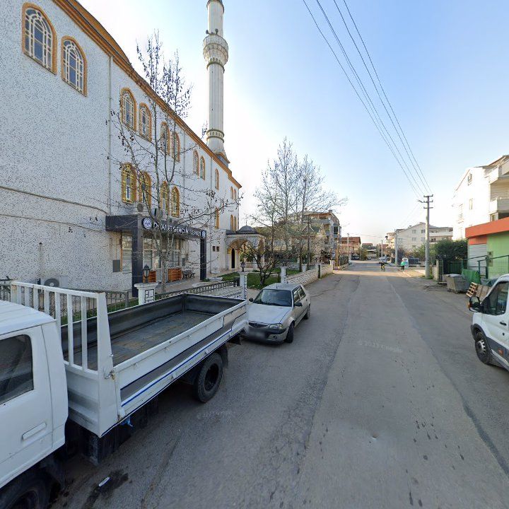 Fotoğraf 8