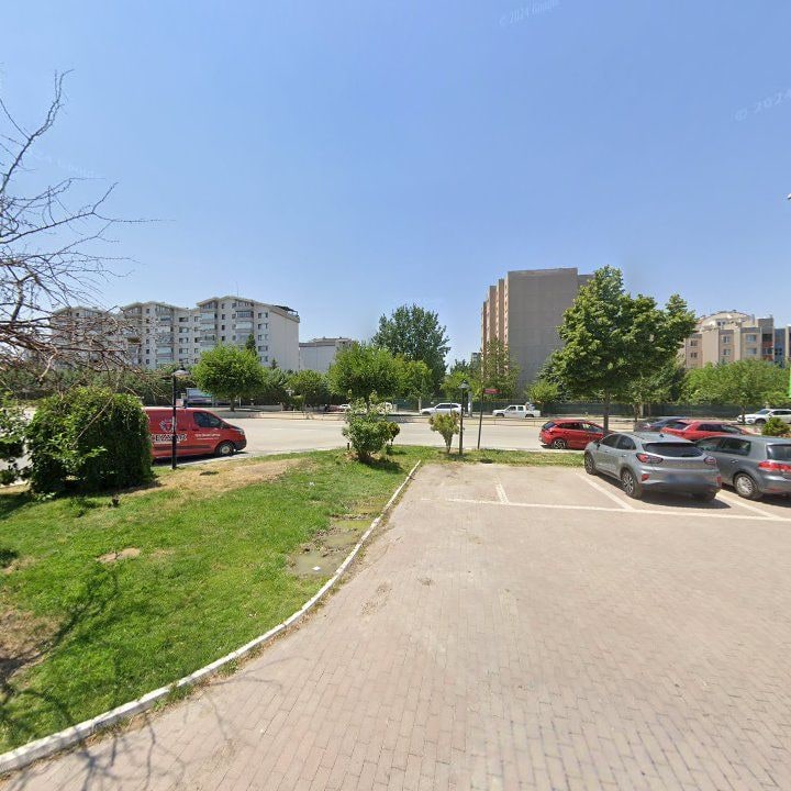 Fotoğraf 10