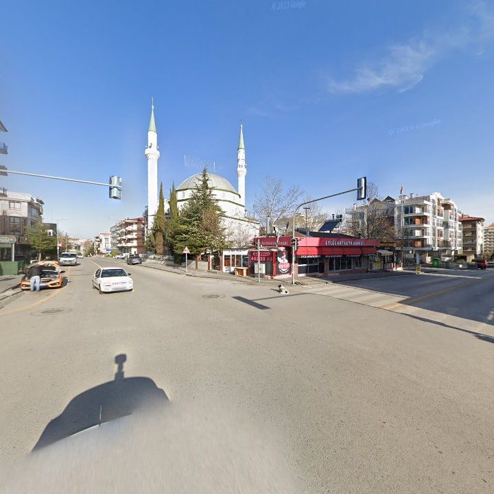Fotoğraf 7