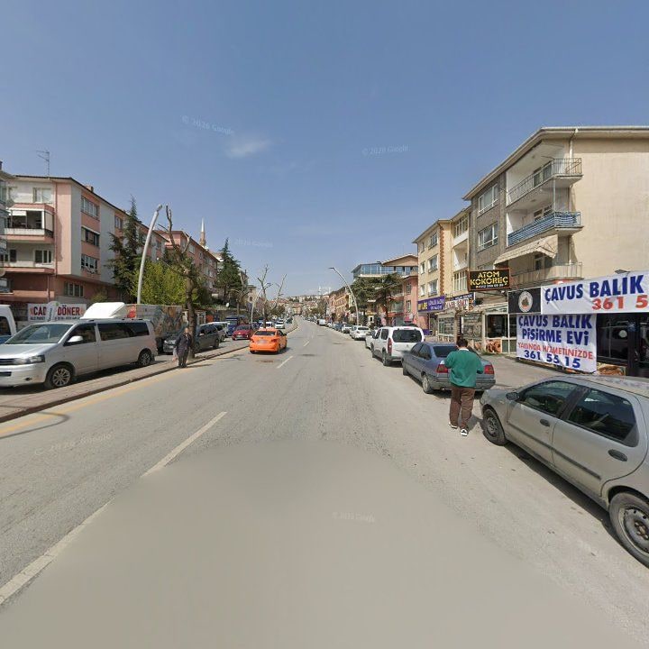 Fotoğraf 8