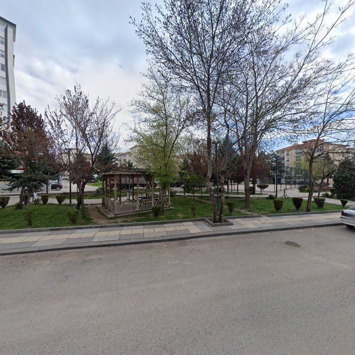 Fotoğraf 7