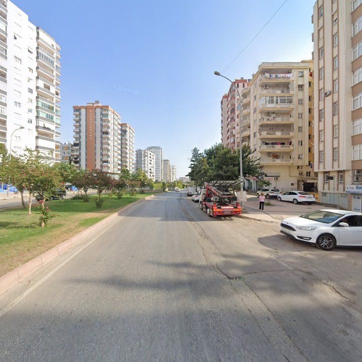 Fotoğraf 10